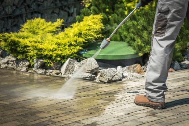 Best Soft Washing  in Milpitas, CA