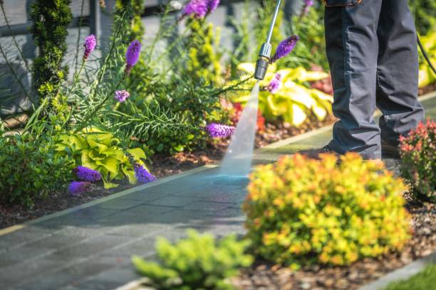 Best Roof Washing  in Milpitas, CA