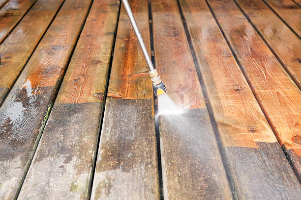 Best Driveway Pressure Washing  in Milpitas, CA